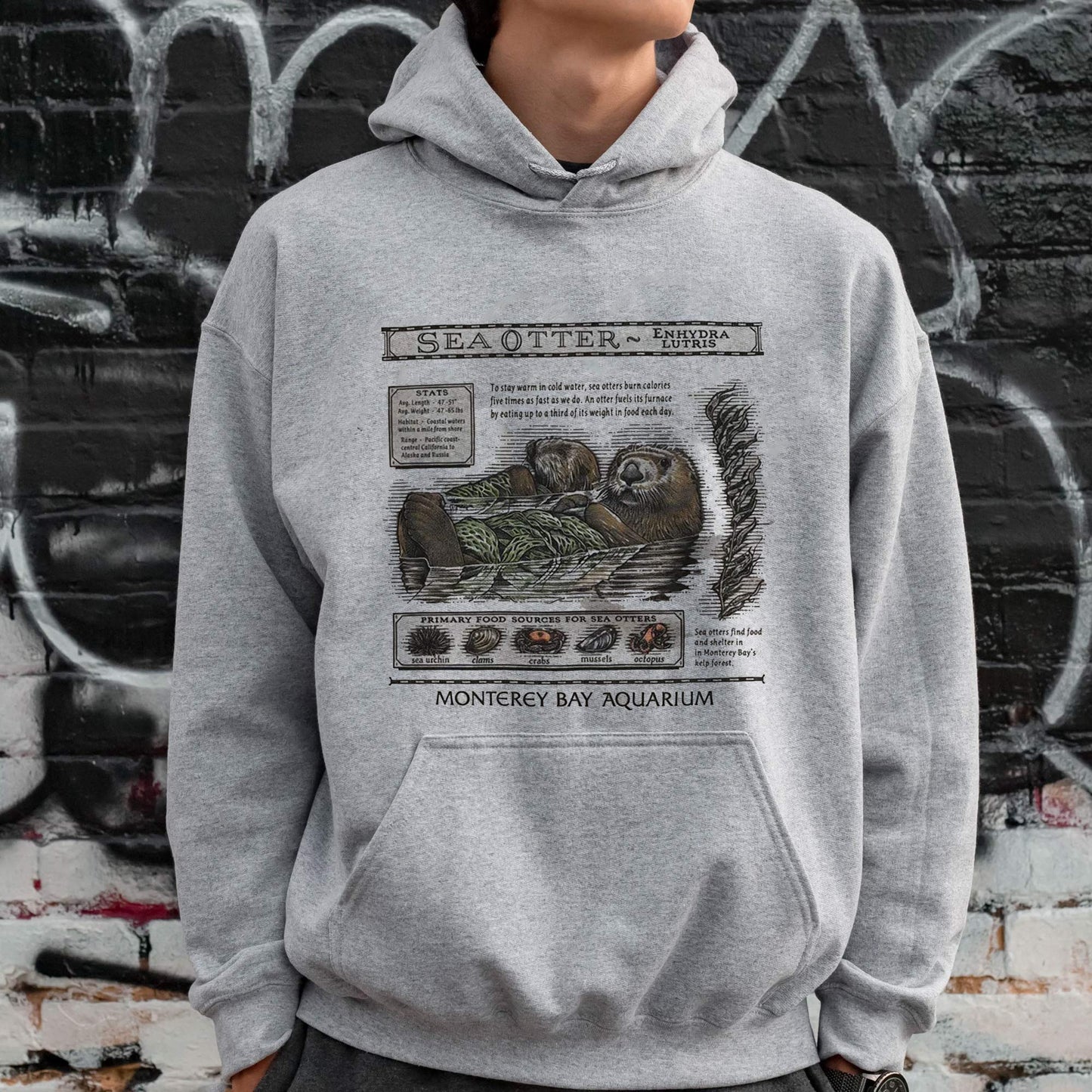 Sea Otters Monterey Bay Aquarium Shirt, Music Fan T-Shirt, Monterey Bay Aquarium Sweatshirt